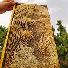 خرید عسل طبیعی اصل اردبیل